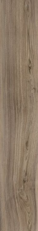 Harper Taupe 10 x 60
